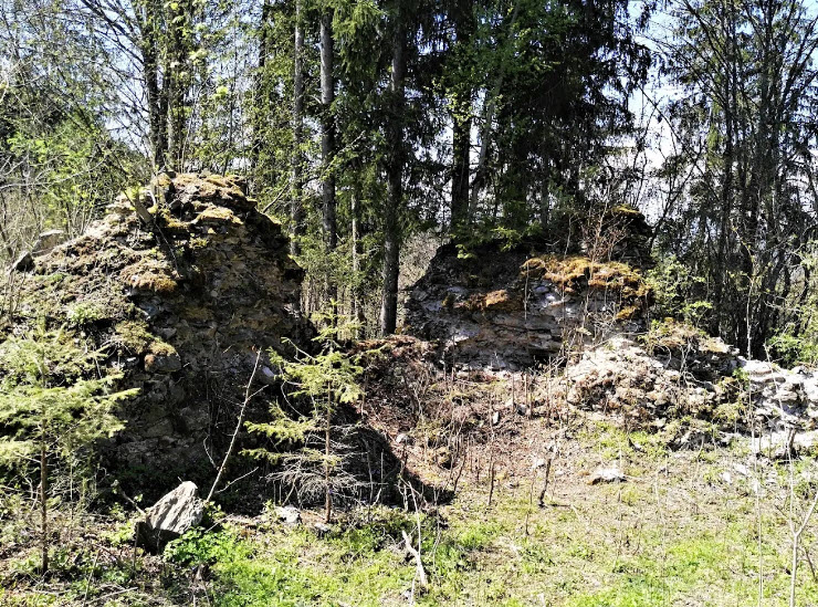 Burgruine Hardegg, Liebenfels, Austria, Austria